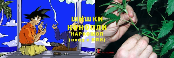 spice Горнозаводск
