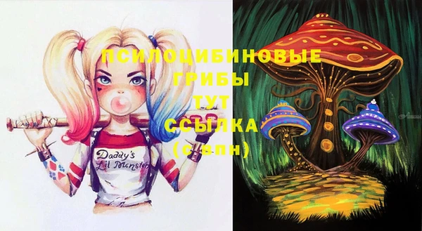 хмурый Лабытнанги