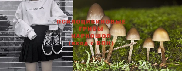 spice Горнозаводск