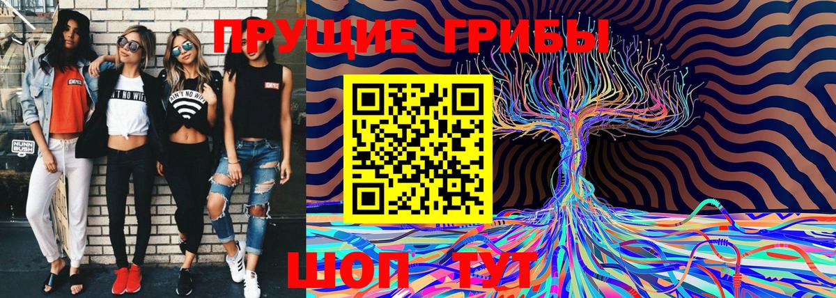 Псилоцибиновые грибы Magic Shrooms Нерюнгри