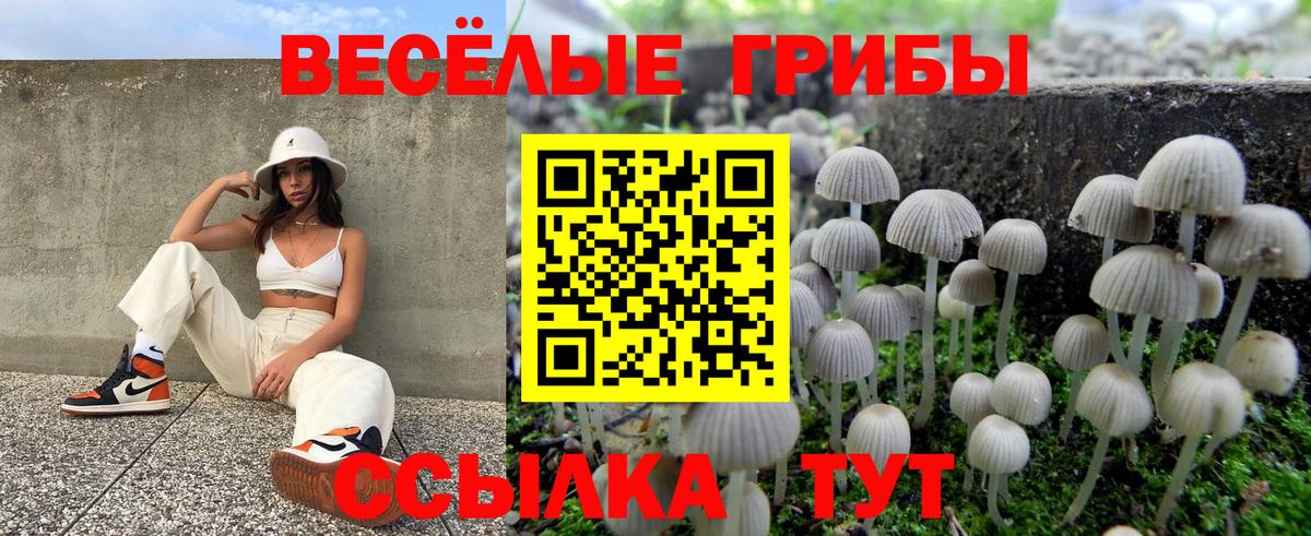 Галлюциногенные грибы Magic Shrooms Нерюнгри