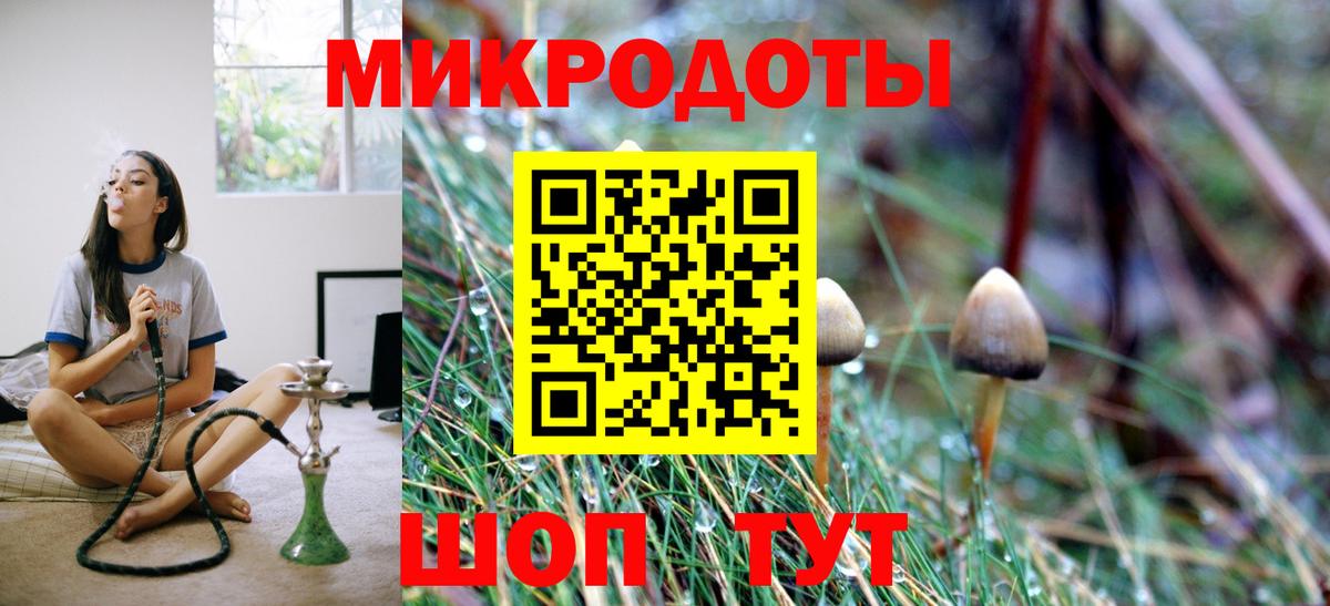 Нерюнгри  Галлюциногенные грибы Magic Shrooms  Вход с VPN 